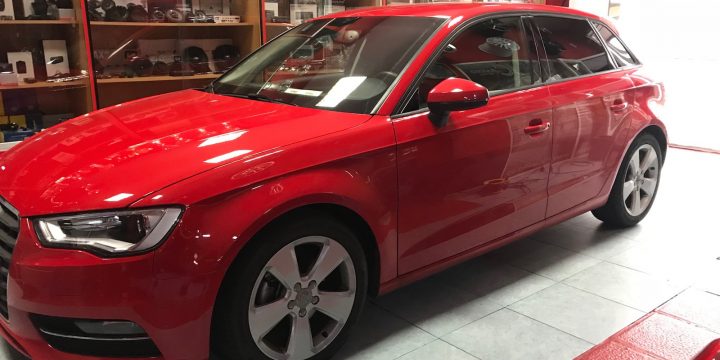 Audi A3 Sensores de Parking Traseros